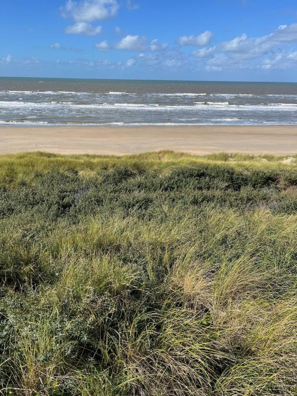 Studio34 Zandvoort Free Parking Экстерьер фото